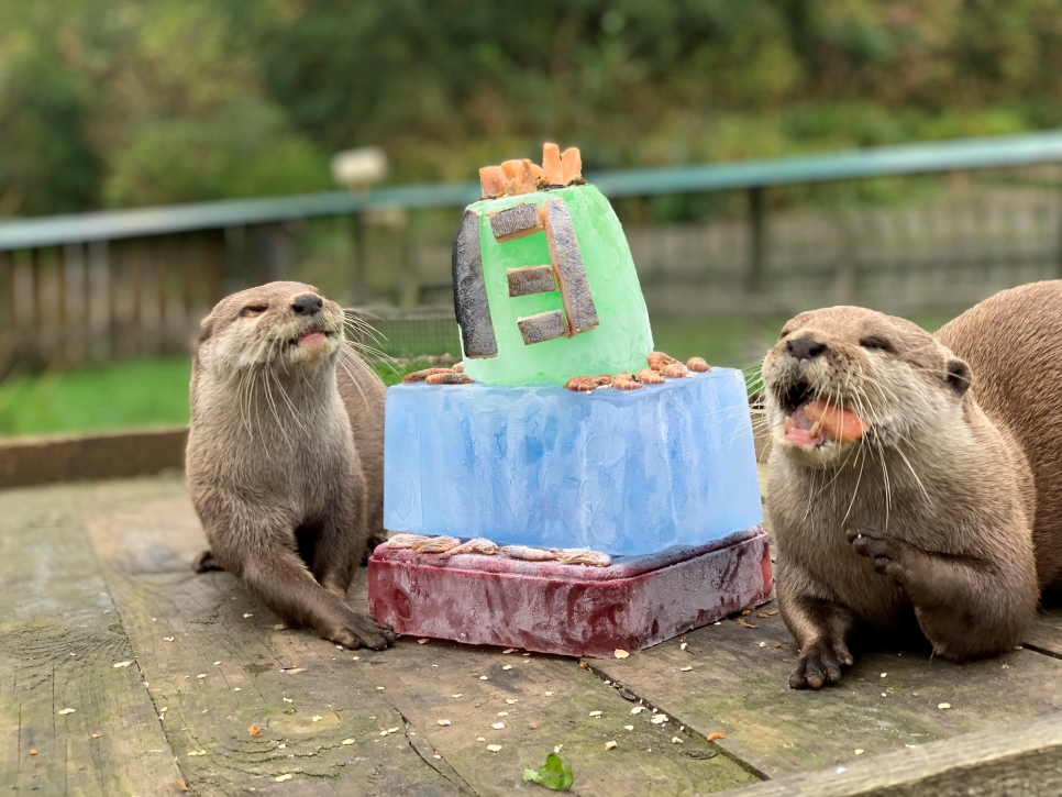 13 reasons why we LOVE otter Musa on his birthday